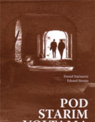 “Pod starim voltama: Istarskim gradićima u pohode”