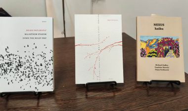 Img-20260522-wa0001