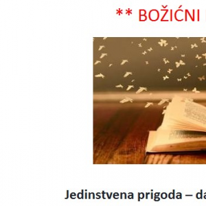 BOŽIĆNI POPUSTI!