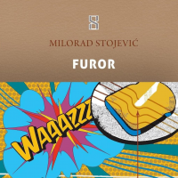 Milorad Stojević: “Furor”